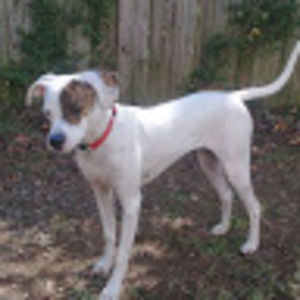 Meet your Posher, Deloris